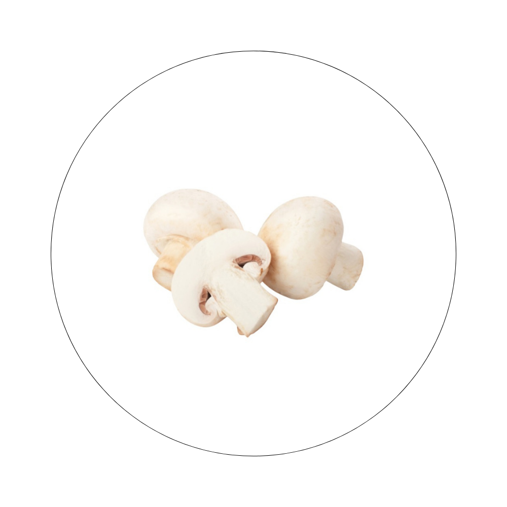 Barquette Champignon Frais 250g