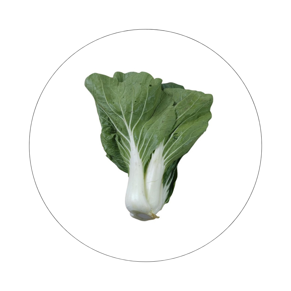 Chou de Chine Vert