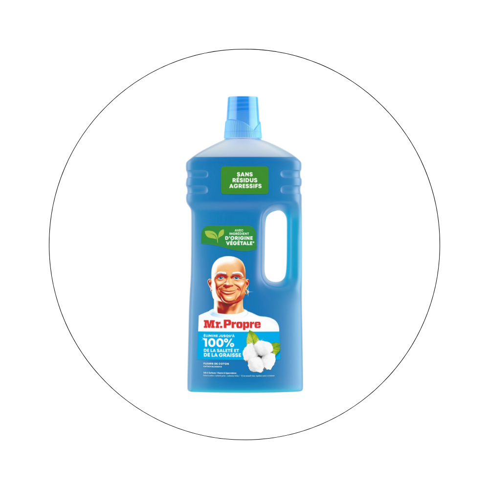 MR PROPRE - Nettoyant Ménager Multi-usages