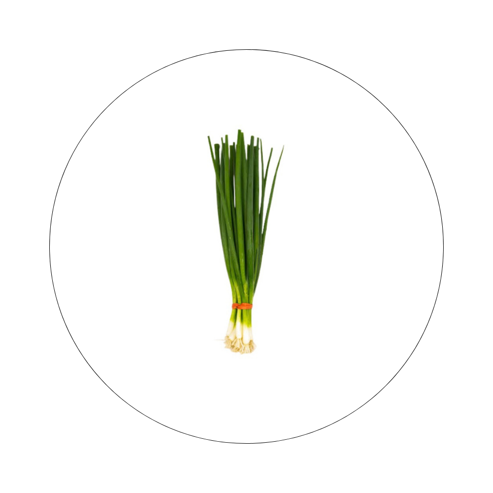 Botte Oignon Vert