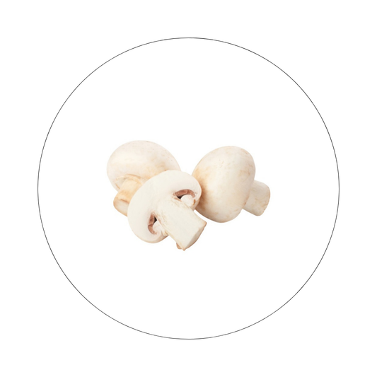 Barquette Champignon Frais 250g