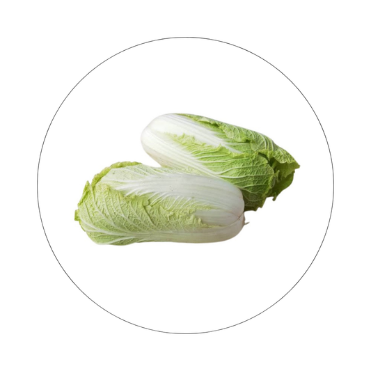 Chou de Chine Blanc