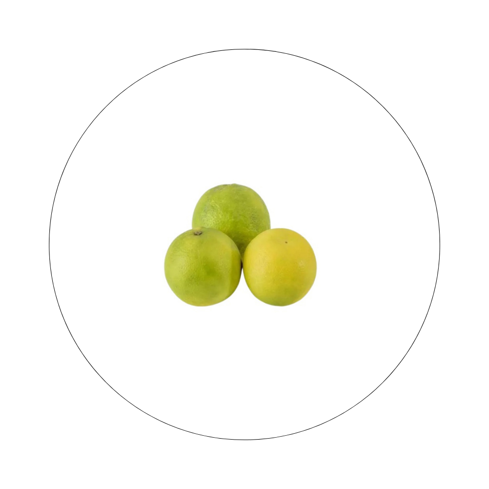 Citron 4 Saisons