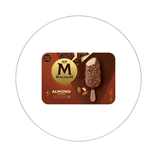 MAGNUM - Bâtonnet x4