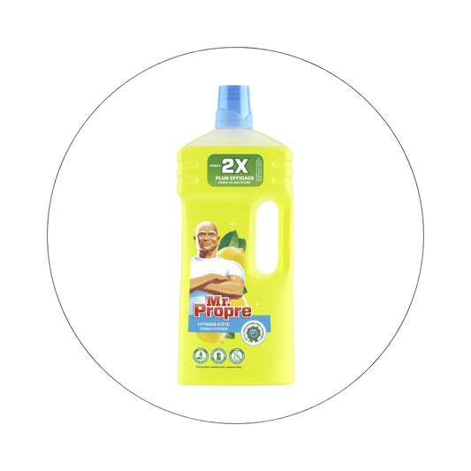 MR PROPRE - Nettoyant Ménager Multi-usages