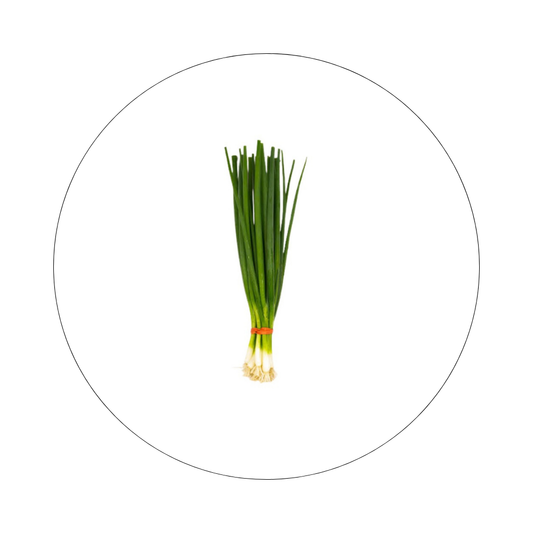 Botte Oignon Vert