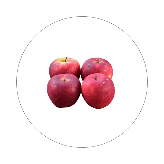Pomme Queen NZ