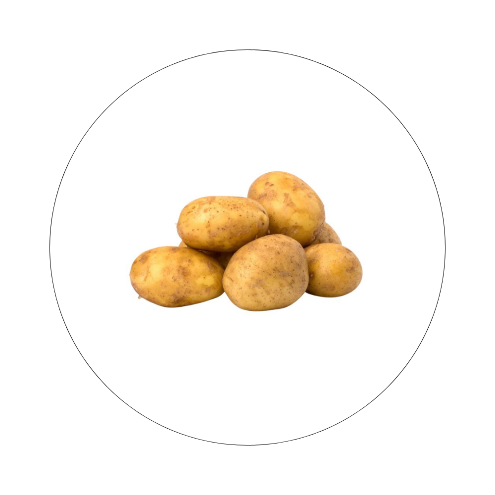 Pomme de Terre
