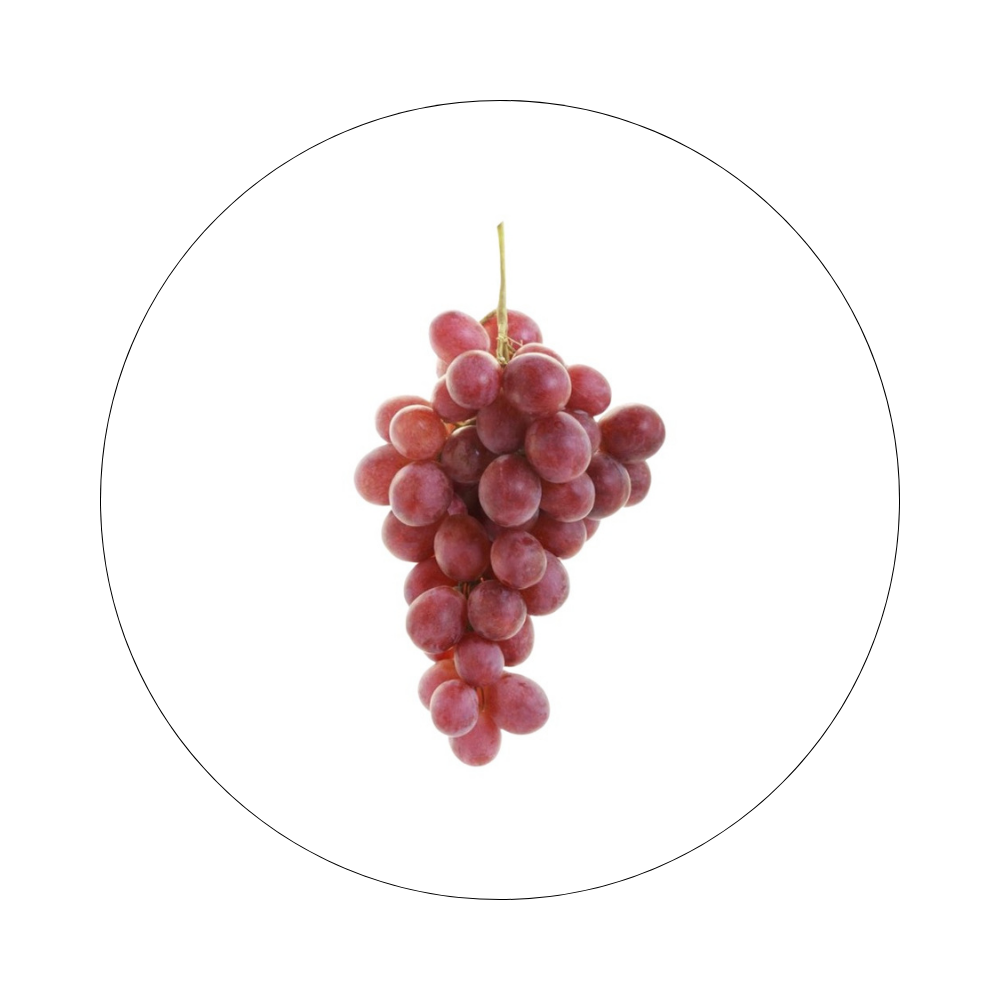 Raisin Globe Import