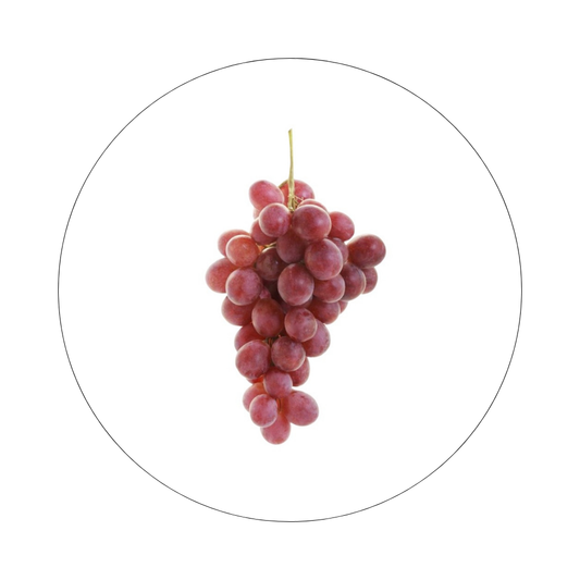 Raisin Globe Import