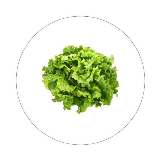 Poche de Salade